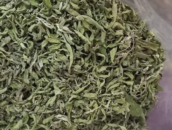 تصویر 4 از قیمت پونه کوهی خشک شده + خرید باور نکردنی